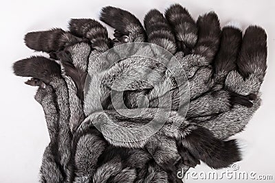 Silver fox fur Stock Photo