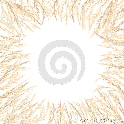 Silver golden Pampas grass Card template Border frame. Place for text, copy space. Vector illustration. Vector Illustration