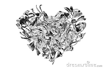 Silver heart made of flower petals on white background isolated close up, decorative grey shiny metal heart shape ornament Stock Photo