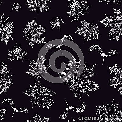 Silver Ink Print maple leaves and seeds on black background Stock Photo
