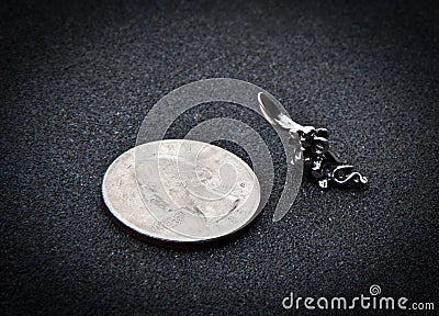 Silver Money Mouse Coin Asphalt Background Stock Photo