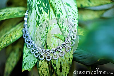 Silver necklace hanging on leaves. Dimond studded silver necklace. Stock Photo