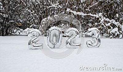 Silver numbers of the New Year 2023 in winter in the snow on the background of snow-covered trees and bushes with copy space Stock Photo