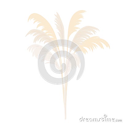 Silver Pampas grass sheaf. Card template. copy space. Vector illustration. Floral golden ornamental grass bouquet. Vector Illustration