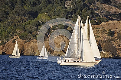 Silver Sail Boats on San Francisco Bay Stock Photo