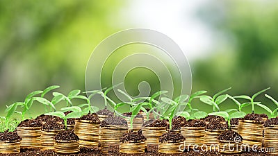 Silver Saving coins, Collection of Savings coins with grow leafs to concept of Rich life, silver coins on soil with Blur green Stock Photo