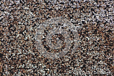 Silver sequins pattern texture background. Stock Photo