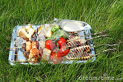 Silver tray with different food for picnic Stock Photo