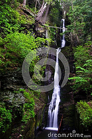 Silverthread Falls in the Fresh Green of Spring Stock Photo