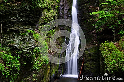 Silverthread Falls in the Fresh Green of Spring Stock Photo