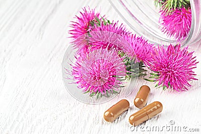 Silybum marianum milk thistle herb Stock Photo