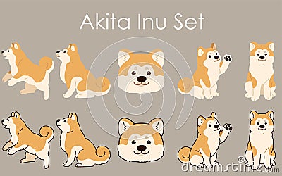 Simple and adorable Akita Dog set illustrations Vector Illustration