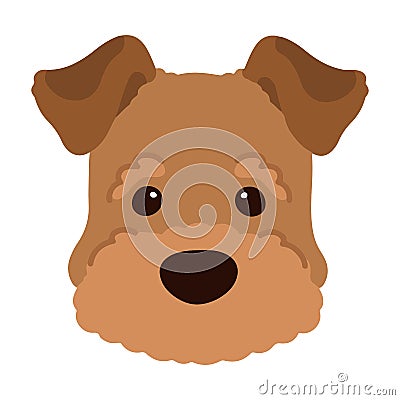 Simple and adorable Welsh Terrier illustration Front Face flat colored Vector Illustration