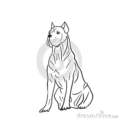 Simple art illustration of silhouette of cane corso, italian mastiff Cartoon Illustration