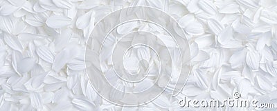 Simple background of soft white flower petals for weddings, or other peaceful or serene backgrounds Stock Photo
