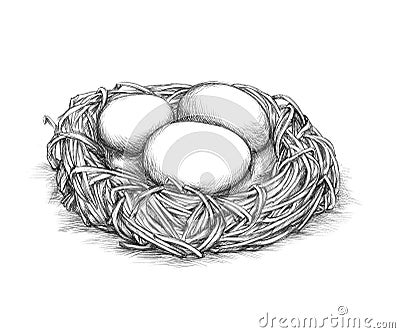 Simple bird nest with eggs Stock Photo