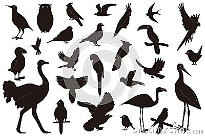 Flock of birds of different species, isolated on white background Silhouettes of birds Vector Illustration