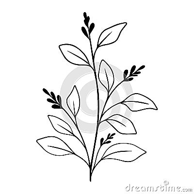 Simple black tree branch with berry and leaves. Hand drawn plant. Botanical vector floral element. Vector Illustration