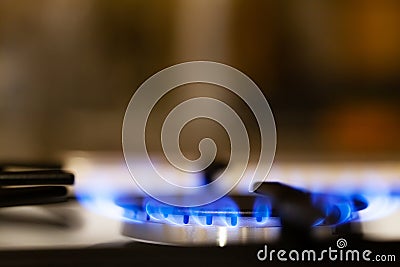 Simple burning gas kitchen stove, burner macro, extreme closeup, shallow depth of field. Clear blue butane flame, cooking, copy Stock Photo