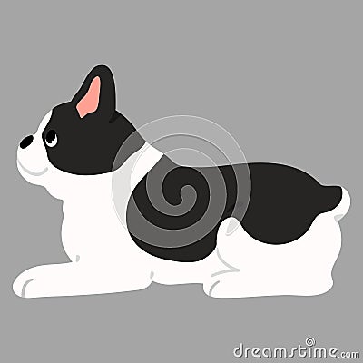 Simple and cute illustration of French Bulldog lying down flat colored Vector Illustration