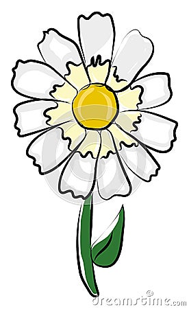 Simple daisy flower, illustration, vector Vector Illustration