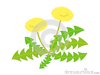 Simple dandelion illustration in flat design Cartoon Illustration