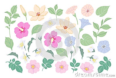 Simple Different Flowers, Buds and Leaves Set Vector Illustration