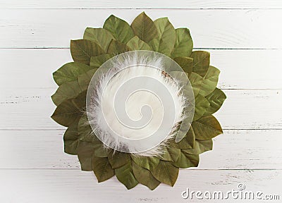 Digital Newborn Backdrop with Leaves on a Wooden Table Stock Photo