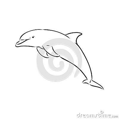 simple dolphin silhouette. dolphin, vector sketch on a white background Vector Illustration