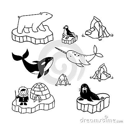 Simple doodle drawings about polar inhabitants - eskimo, bear, narwhal, killer whale, puffin and walrus. Vector illustrations of Cartoon Illustration