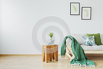 Simple eco studio interior Stock Photo