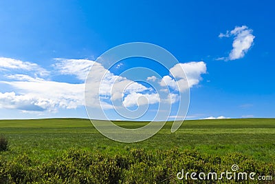 Simple English landscape for backgrounds Stock Photo