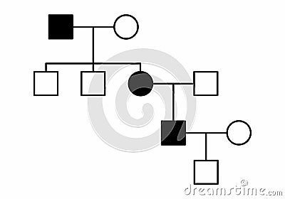 Simple family diagram illustration Cartoon Illustration