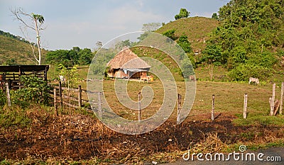 Simple house, indigenous families face extreme poverty and harsh living conditions. Editorial Stock Photo