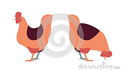 Simple illustrated hens standing Stock Photo