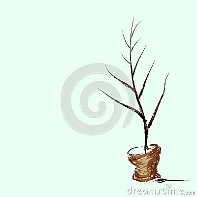 Dried dead trees in pots Cartoon Illustration