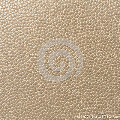 A plain background featuring a leather texture in an elegant ivory color Stock Photo