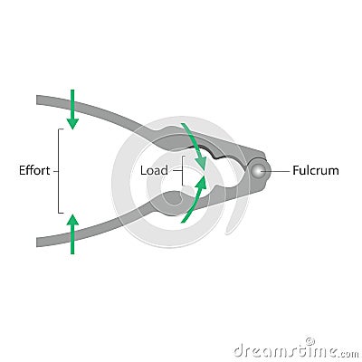 Simple machines: Lever - Nutcracker Vector Illustration