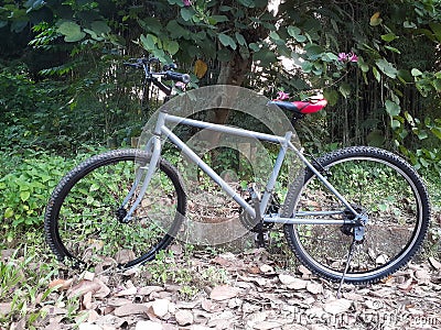 A mountain bike Stock Photo