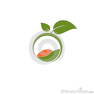 Simple Organic logo with leaves Vector Illustration