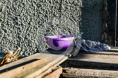 A simple purple plastic plate, outdoor tableware for feeding animals, cats and dogs, stands on dusty wooden planks Stock Photo