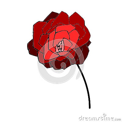 simple rose flower sketch in red, red color, nature, beautiful, sketch, handmade, beginner, Stock Photo