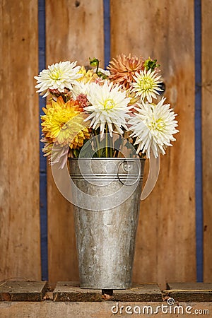 Simple, rustic country style fall autumn Thanksgiving season floral dahlia bouquet in galvanized metal vase home decorations Stock Photo