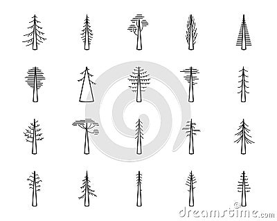 Simple set of coniferous trees related vector icons. Contains icons as araucaria, cedar, cypress, fir, pine and more. 256 x 256 Vector Illustration