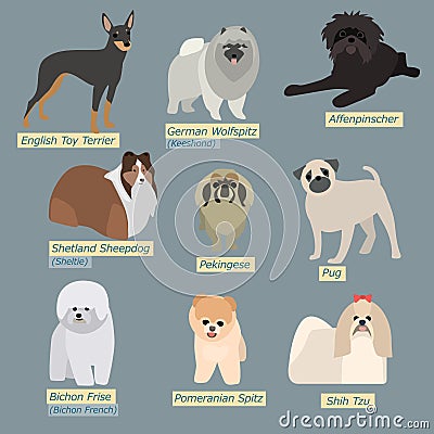 Simple silhouettes of dogs. Mini-dogs in flat design Vector Illustration