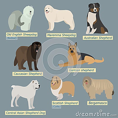 Simple silhouettes of dogs. Types of sheepdogs Vector Illustration