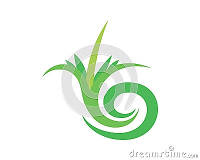 Simple Small Plant with Growing Phase Illustration Vector Illustration