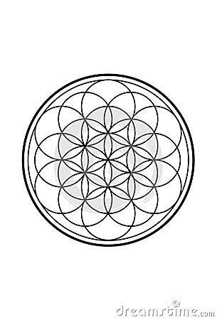 Simple Spiritual Flower of Life Black and White Illustration 1 Vector Illustration