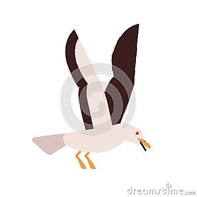 Simple style colorful portrait of flying seagull isolated on white background. Beautiful marine nordic bird. Flat vector Vector Illustration