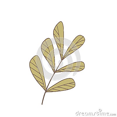 Simple unusual flowers Vector Illustration